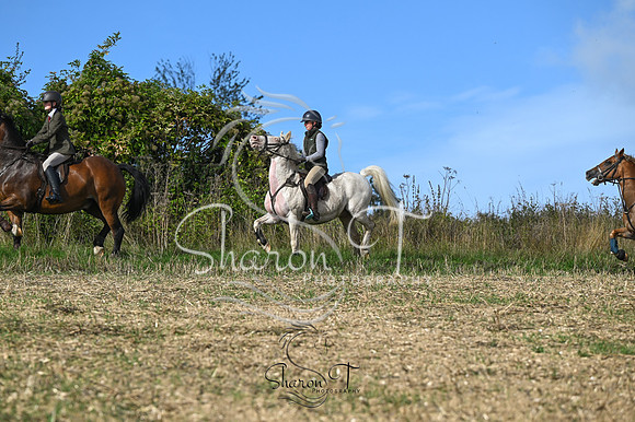 STP_2639