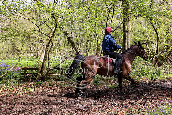 Bluebell Ride 1230-5699