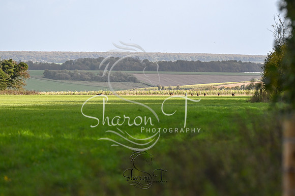 STP_5746