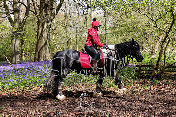 Bluebell Ride 1230-5707