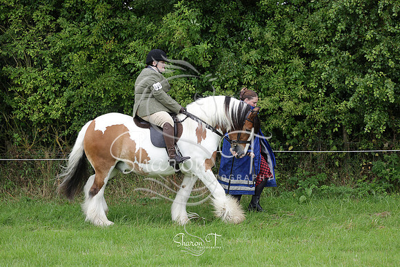 110156-IMG_5553