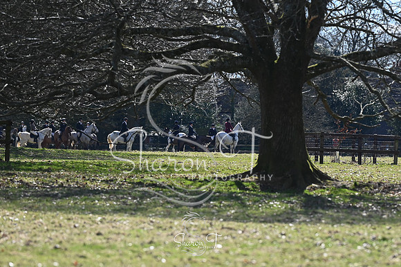 STP_0445