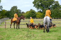 The Meet