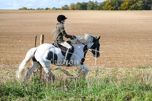 STP_5008