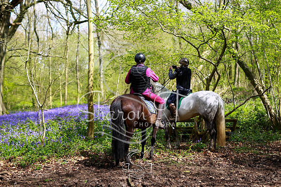 Bluebell Ride 1230-4388