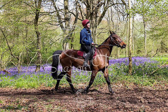 Bluebell Ride 1230-5698