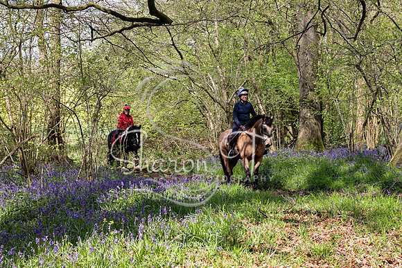 Bluebell Ride 1230-5701