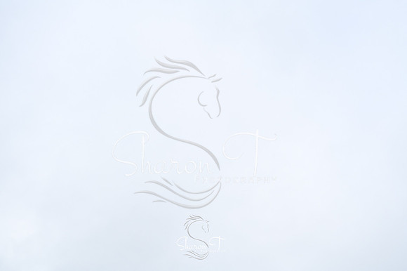 STP_6117