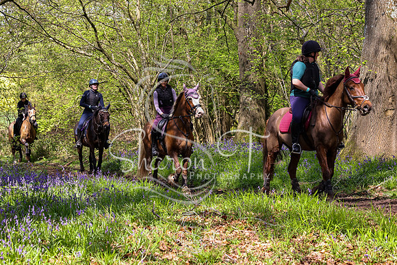 Bluebell Ride 1230-5690