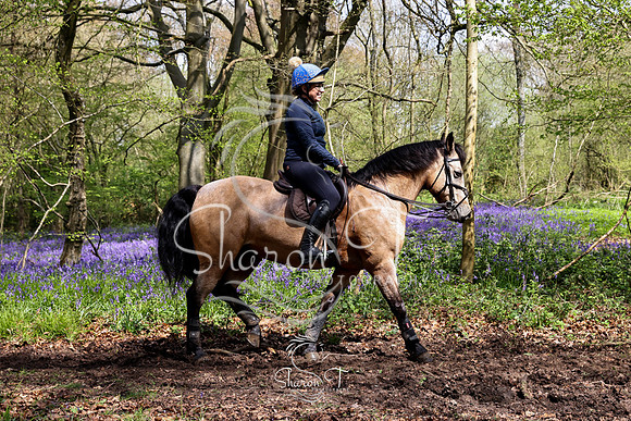 Bluebell Ride 1230-5704