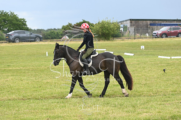 STP_0937