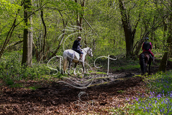 Bluebell Ride 1230-4389