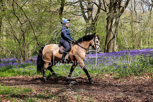 Bluebell Ride 1230-5703