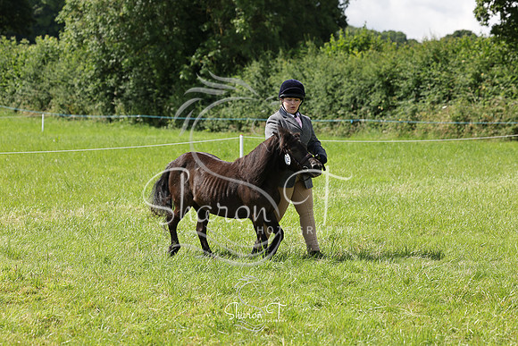 103703-IMG_2521