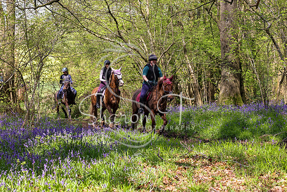 Bluebell Ride 1230-5688