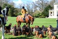 The Meet