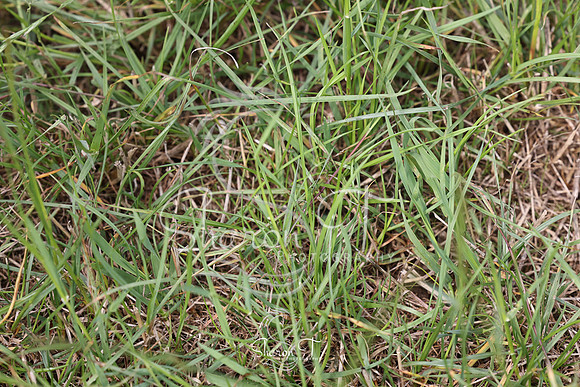 110422-IMG_6275