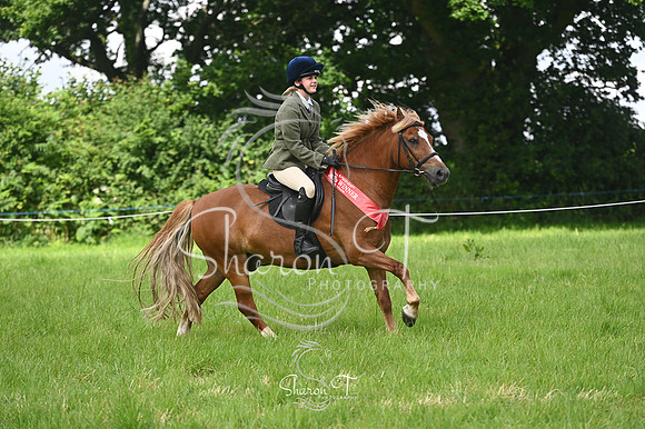 110035-STP_4705