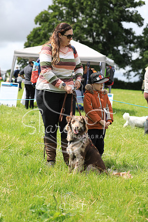 122313-JOB_6464