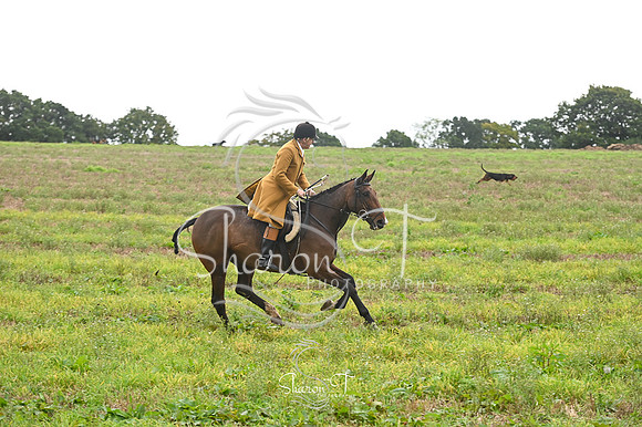 STP_4273