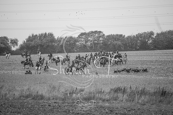 DSC_5914-2