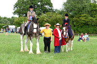 Fawley Farm Feeds Horse & Dog Show 2.7.2023