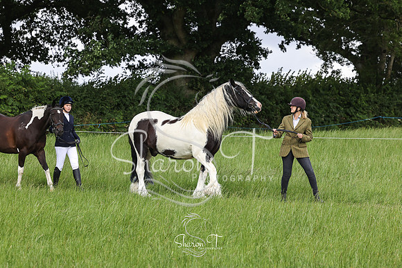 103709-IMG_6098