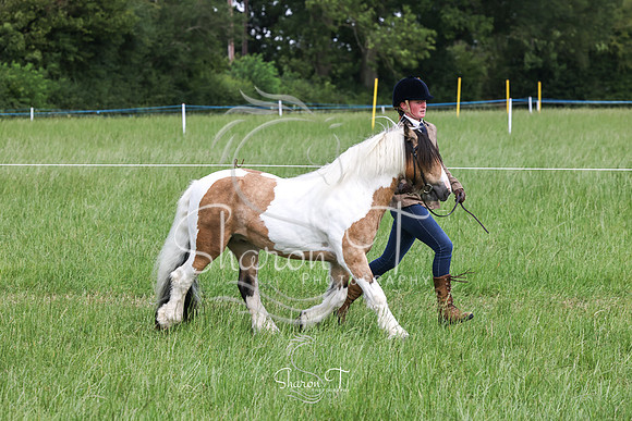 110359-IMG_6271