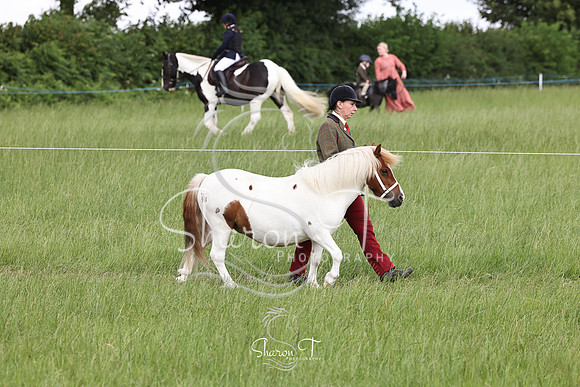 103604-IMG_6091