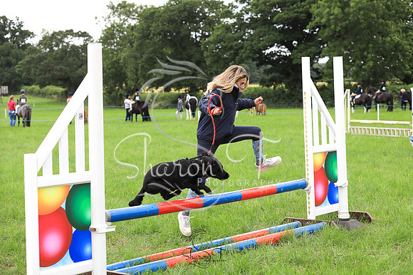114044-JOB_6205