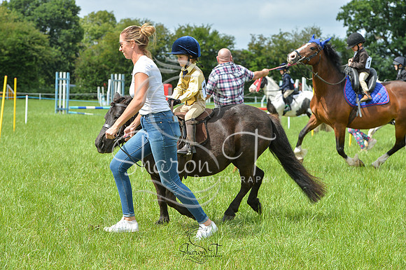 150954-DSB_9036