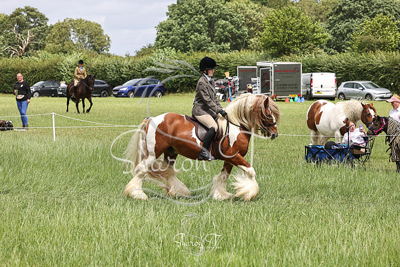 131927-IMG_6844