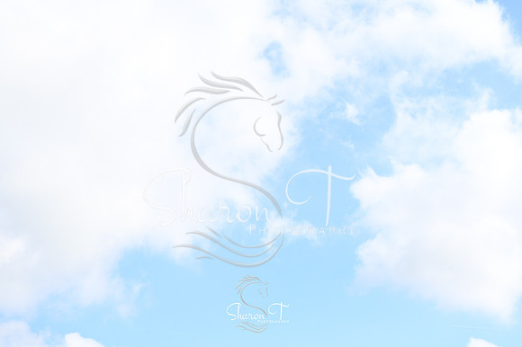 095635-STP_4480