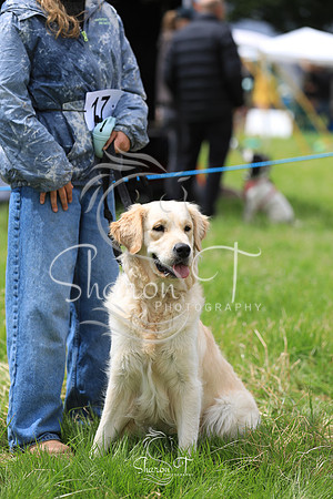 130133-JOB_6551
