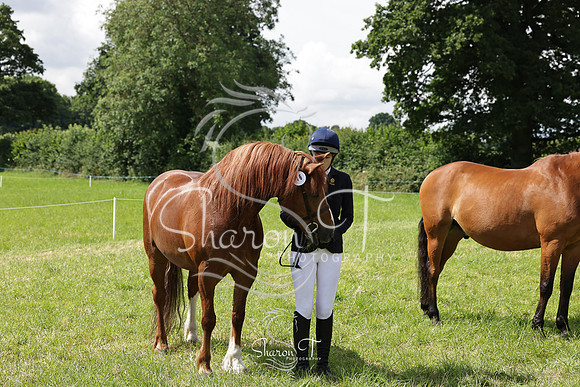 104048-IMG_2567
