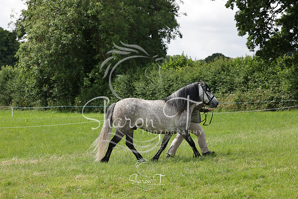 110602-IMG_2668