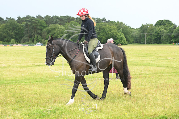 STP_0931