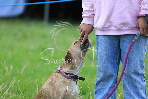 122608-JOB_6473