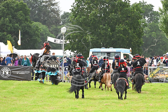 STP_5359