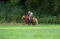 STP_6491