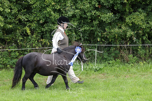 112810-IMG_5721