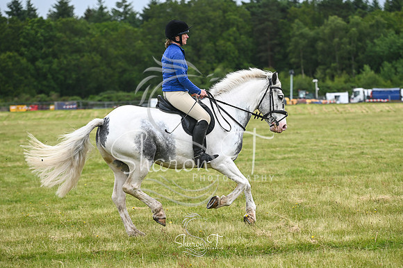 STP_0934