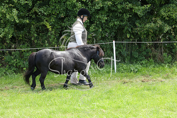 113605-IMG_5740