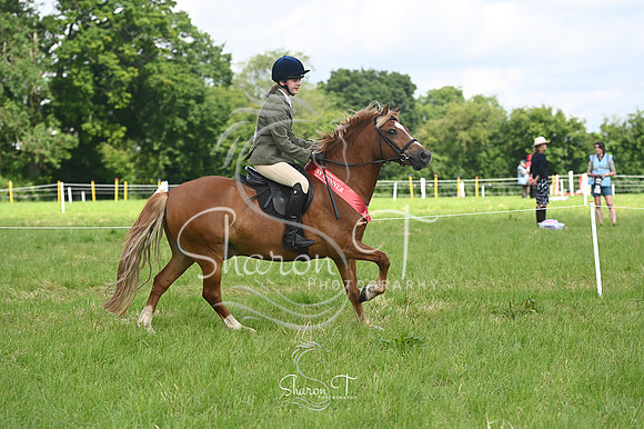 110038-STP_4707