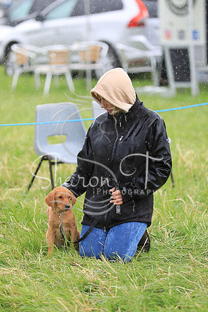140148-JOB_6669
