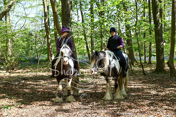 Bluebell Ride-9821