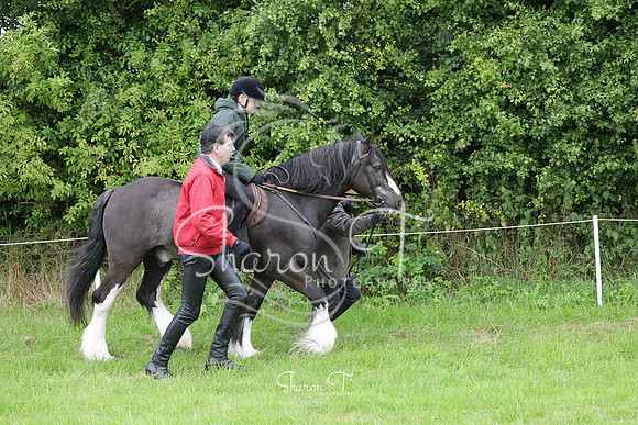 110225-IMG_5557