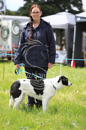 121401-JOB_6444
