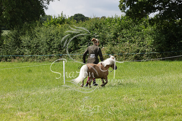 110441-IMG_2646