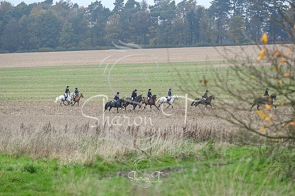 STP_6313
